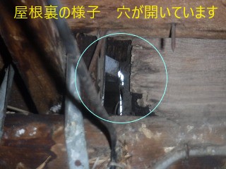屋根裏の穴