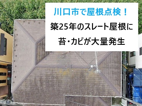 川口市で屋根点検！築25年ノーメンテナンスのスレート屋根は苔・カビが大量発生していました