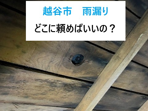 越谷市　雨漏り…どこに頼めばいい？失敗しない業者選びと正しい対処法をご紹介！