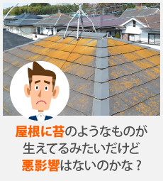 屋根・外壁メンテナンスを無料点検無料見積りを活用してお直ししませんか？
