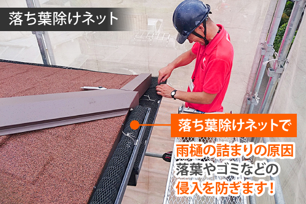 雨樋掃除　雨漏り対策・掃除の極意教えます！