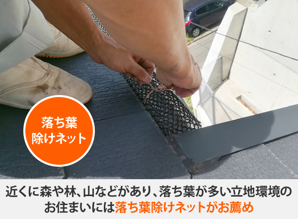 雨樋掃除　雨漏り対策・掃除の極意教えます！