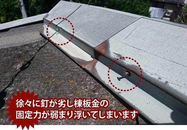 棟板金の浮き放置は雨漏りや飛散の危険性が高まります