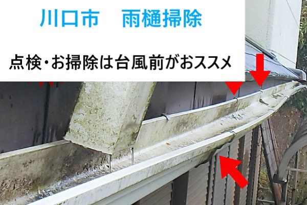 川口市　雨樋掃除しないと危険？住宅地でよくあるトラブルと対策