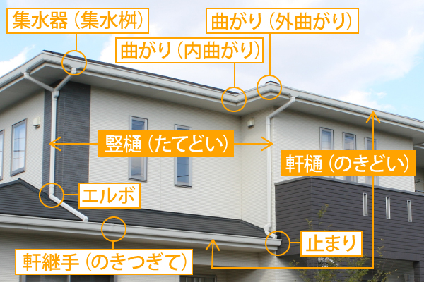 雨樋掃除　雨漏り対策・掃除の極意教えます！
