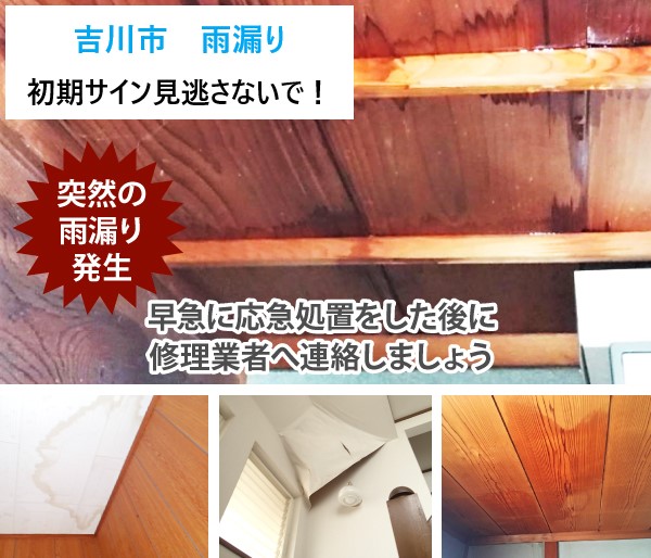 吉川市 雨漏りの初期サイン、見逃していませんか?修理費用と業者の見極め方