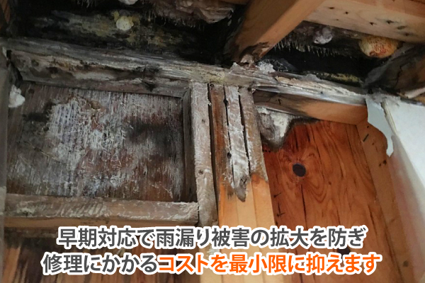 雨漏り発生！原因は…見えない劣化