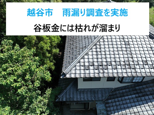 タイトル