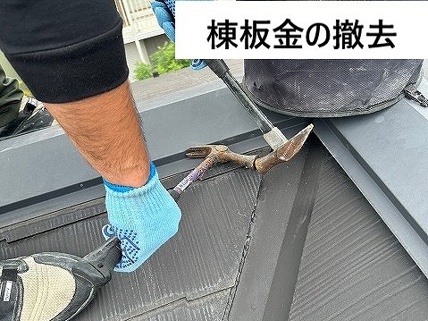 棟板金