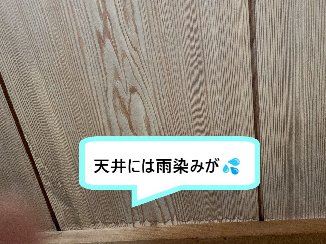 雨染み
