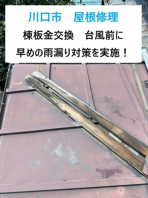 川口市で屋根修理！浮いた棟板金は台風や雨漏りに備えて早急な修理‼