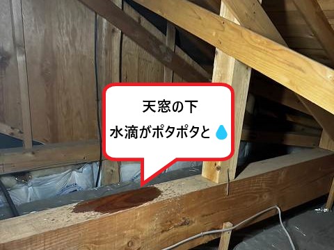 天窓の下、水滴がポタポタと